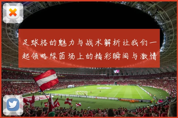 足球格的魅力与战术解析让我们一起领略绿茵场上的精彩瞬间与激情对决