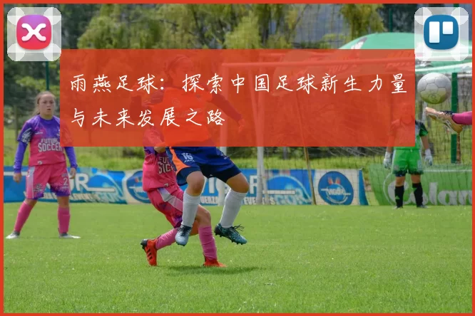 雨燕足球：探索中国足球新生力量与未来发展之路