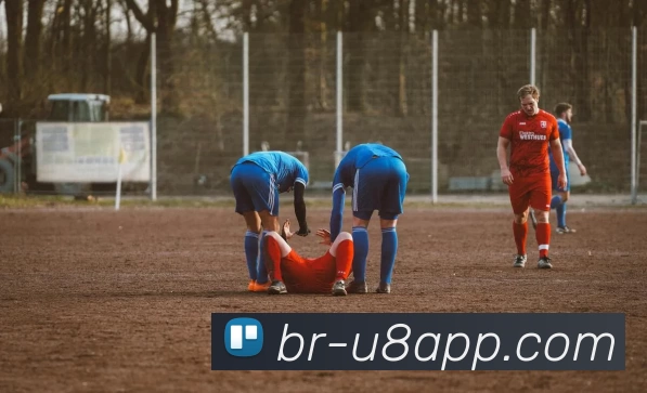 U8国际平台生态图