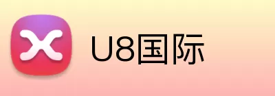 U8国际 Logo